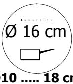 BRANDT TI316BN1 - Pans compatible with induction are: - 4