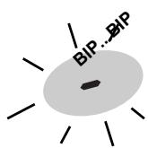 BRANDT TI316BN1 - Temperaturbegränsare - 1