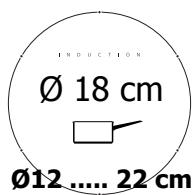 BRANDT TI316BN1 - Pans compatible with induction are: - 2