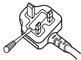 PIONEER DVJ-1000 - IMPORTANT: THE MOULDED PLUG (FOR USE IN THE UNITED KINGDOM) - 1