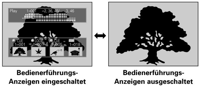 PIONEER DVJ-1000 - Aufrufen der Anzeigen für Bedienerführung - 1