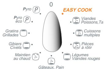 SAUTER MPF10B - A - FAIRE UNE PYROLYSE IMMEDIATE - 5