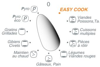 SAUTER MPF10B - A - FAIRE UNE PYROLYSE IMMEDIATE - 1