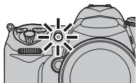 FUJIFILM FINEPIX S5 PRO - La photo est prise dans le délai sélectionné. - 1