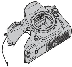 FUJIFILM FINEPIX S5 PRO - Vérification de l'état de la surface du CCD - 5