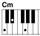 YAMAHA CVP-409-407-405-403-401 - 18