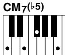 YAMAHA CVP-409-407-405-403-401 - 9