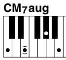 YAMAHA CVP-409-407-405-403-401 - 17