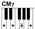 YAMAHA CVP-409-407-405-403-401 - 8