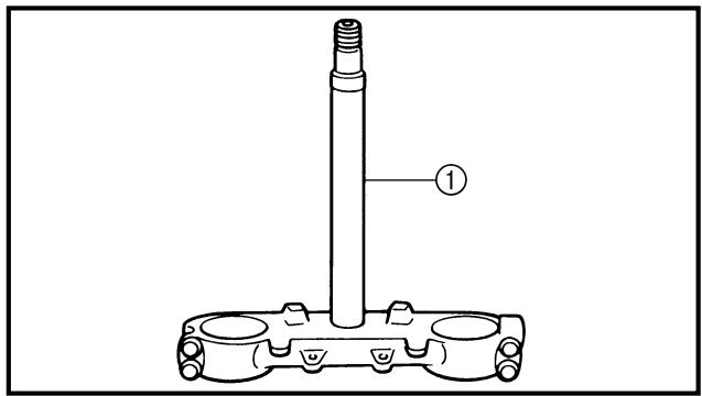 YAMAHA WR250FN - WARNING - 3
