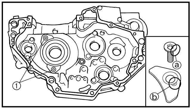YAMAHA WR250FP - Ispezionare: - 1