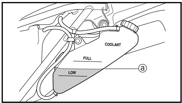 YAMAHA WR250FP - WARNING - 1