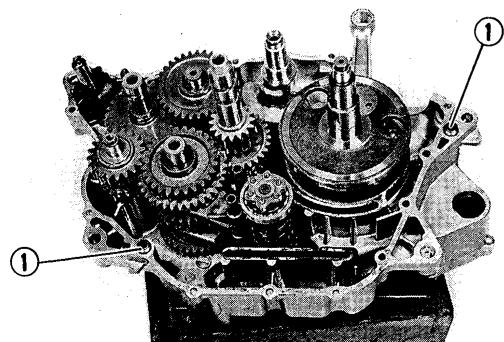 YAMAHA YFM350X - Pompe à HUIL - 5