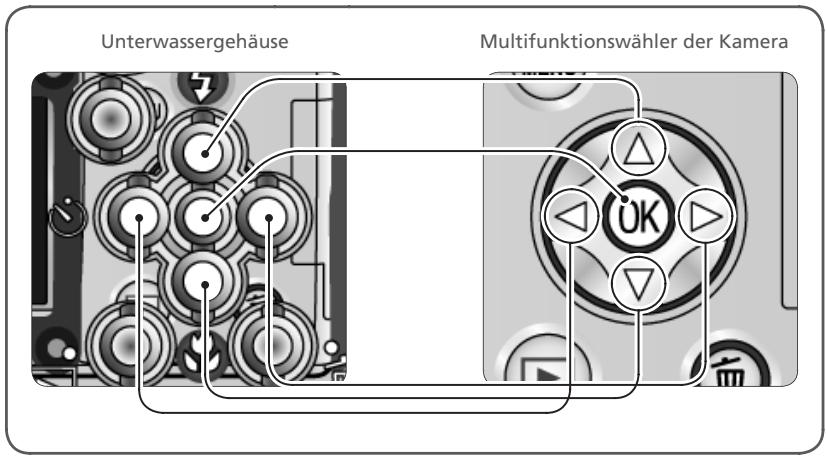 NIKON CAISSON ETANCHE WP-CP3-JUSQU-A 40 M DE PROFONDEUR - Das Unterwassergehäuse WP-CP3 in der Übersicht - 4