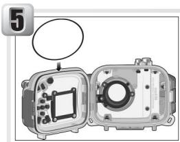 NIKON CAISSON ETANCHE WP-CP3-JUSQU-A 40 M DE PROFONDEUR - Graisser le joint torique - 1