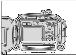 NIKON CAISSON ETANCHE WP-CP4-JUSQU-A 40 M DE PROFONDEUR - Insert Desiccant - 3