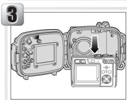 NIKON CAISSON ETANCHE WP-CP4-JUSQU-A 40 M DE PROFONDEUR - Réactivation du moniteur - 3