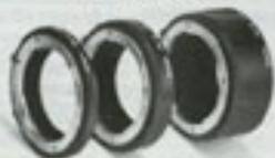 NIKON FE2 - Photomacrographie - 2