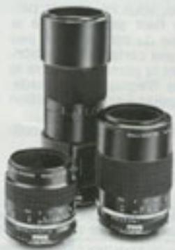 NIKON FE2 - Photomacrographie - 1