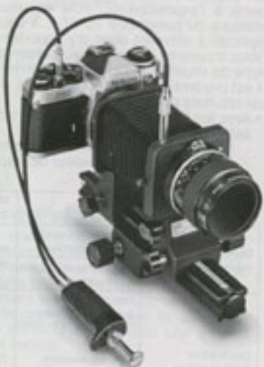 NIKON FE2 - Photomacrographie - 3