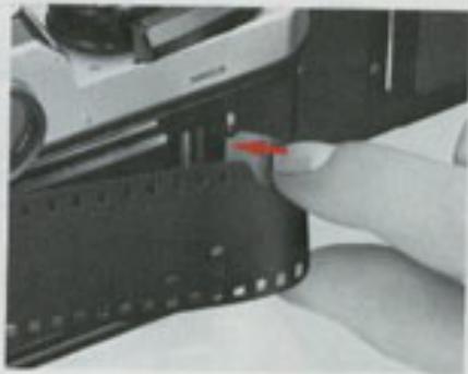 NIKON FE2 - Aremquues: - 1