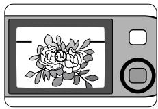NIKON LITE TOUCH ZOOM 100W-QD - La distance minimale entre l'appareil et le sujet est d'approximativement 0,65m - 2