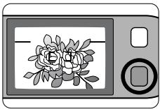 NIKON LITE TOUCH ZOOM 150ED-QD - Compose the picture within the parallax compensation marks, then press the shutter release button halfway. - 1