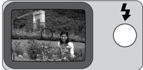 NIKON LITE TOUCH ZOOM 70W-QD - Composez l'image. - 1