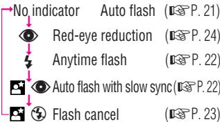 NIKON NUVIS 300 - Selecting the flash mode - 2