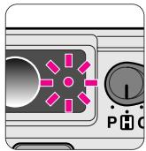 NIKON NUVIS 300 - Compose the picture. - 2