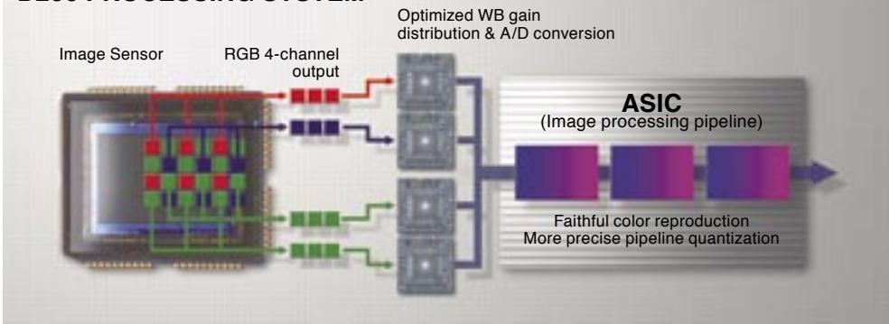 NIKON EYEPIECE CUP DK-10 - Industry-leading image processing for exceptional color performance - 1