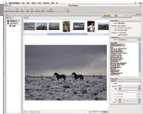 NIKON EYEPIECE CUP DK-10 - PictureProject (Supplied) - 1