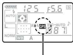 NIKON GP-1 - Instalacion del GP-1 en la correa de la-camera - 2
