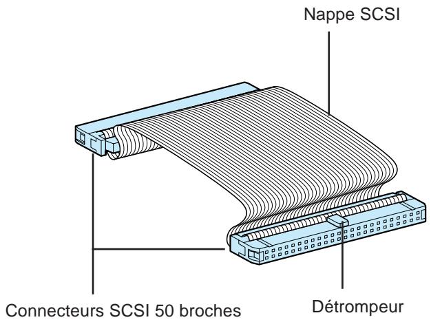 NIKON LS-20E - Câble SCSI utilisé avec les scanners internes - 1