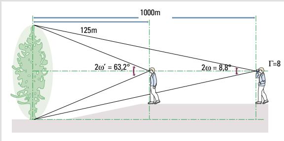 NIKON MONARCH GOLD 1.5-6X42 - Valeurs du champ angulaire apparent - 1