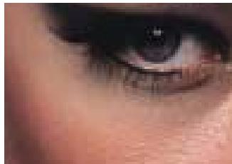 NIKON SUPER COOLSCAN 9000 - Stunning image corrections with Digital ICE Advanced™ technology - 6