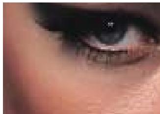 NIKON SUPER COOLSCAN 9000 - Stunning image corrections with Digital ICE Advanced™ technology - 3