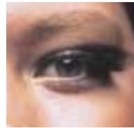 NIKON SUPER COOLSCAN 9000 - High-quality scans the easy way - 2