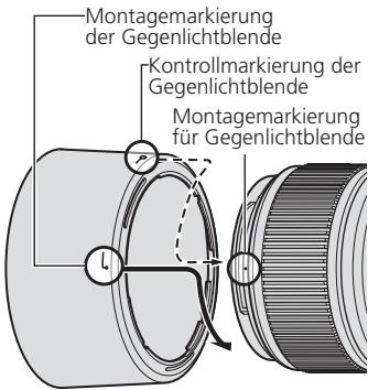 NIKON AF-S MICRO NIKKOR 60MM F-2.8G ED - Blitzaufnahmen mit dem integrierten Blitzgerät - 1