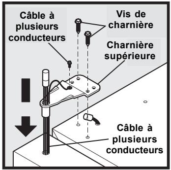AEG-ELECTROLUX ERL6296XX - Pour déposer la porte du congélateur : - 2
