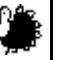 BROTHER PTOUCH PT-9600 - Symboles  p. 48 - 136