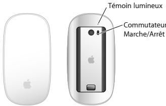 APPLE MAGIC MOUSE - À propos du témoin lumineux - 1