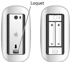 APPLE MAGIC MOUSE - Pour remplacer les piles : - 1