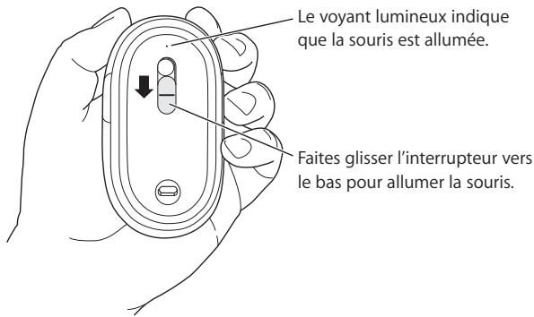 APPLE MIGHTY MOUSE - ZML - Pour jumeler votre souris à votre Mac : - 1