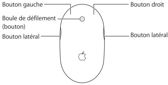 APPLE MIGHTY MOUSE - ZML - Utilisation de votre Mighty Mouse - 1