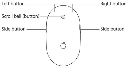 APPLE MIGHTY MOUSE - ZML - Using Your Mighty Mouse - 1
