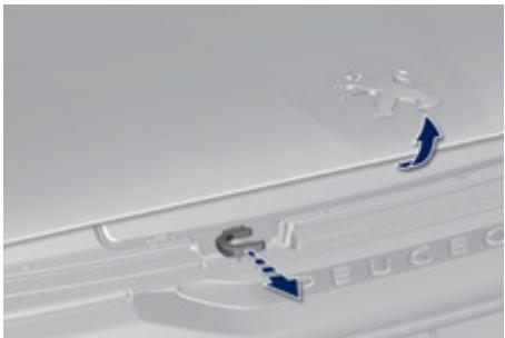 PEUGEOT 308 2 2014 - Ouverture - 1