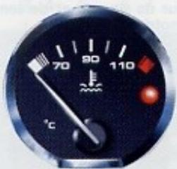 PEUGEOT 406 COUPE - L'arrêt est impératif. - 3