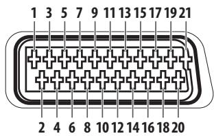 PIONEER PDA-V100HD - Affectation des broches de la borne SCART (péritel) - 1