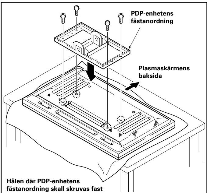 PIONEER PDK-FS01E - Viktigt - 11